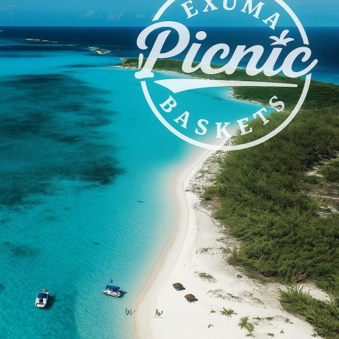 WhatsApp Image 2025-08-21 at 18.04.50